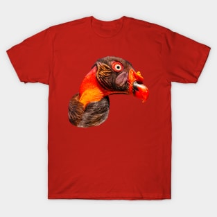 Portrait of the head of a King Vulture T-Shirt